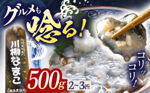 【先行受付】川棚 なまこ 約500g※2025年12月中旬以降発送】【森水産】[OAI002] / 大村湾で採れる 高級 新鮮 ナマコ おつまみ 魚介