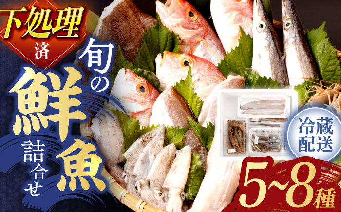 【先行予約】朝どれ新鮮！大村湾 旬の 鮮魚 贅沢 詰合せ (7種～12種) ※7～11月配送【森水産】[OAI003] / 魚介 鮮魚 海鮮 長崎県産 下処理済 冷蔵配送