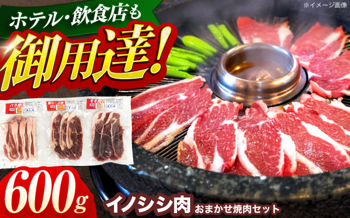 ジビエ 天然イノシシ肉 おまかせ焼肉セット 600g （ロース・モモ・バラ）【照本食肉加工所】 [OAJ004]