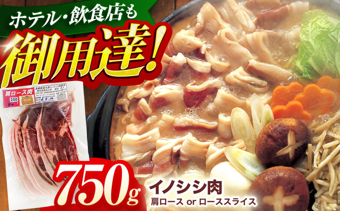 ジビエ 天然 猪肉 肩ロース ＆ ロース スライス750g【照本食肉加工所】[OAJ011] / 猪肉 いのしし ぼたん鍋 しし鍋 猪肉