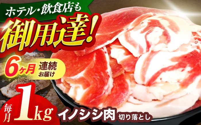 【6回定期便】ジビエ 天然イノシシ肉 切り落とし1kg（ぼたん鍋・煮込料理・野菜炒め用等）【照本食肉加工所】 [OAJ020]