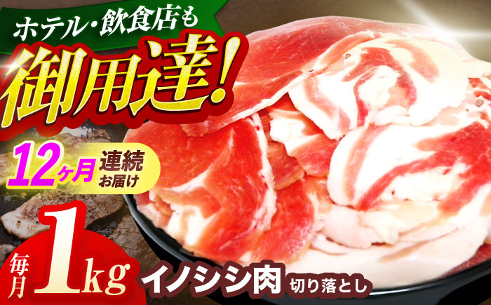 【12回定期便】ジビエ 天然イノシシ肉 切り落とし1kg（ぼたん鍋・煮込料理・野菜炒め用等）【照本食肉加工所】 [OAJ021]