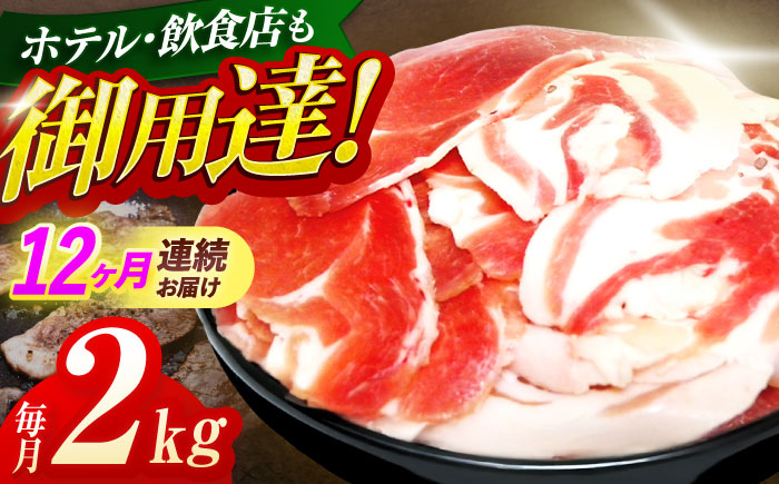 【12回定期便】ジビエ 天然イノシシ肉 切り落とし2kg（ぼたん鍋・煮込料理・野菜炒め用等）【照本食肉加工所】 [OAJ024]