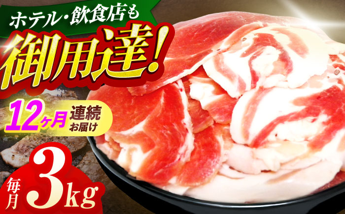 【12回定期便】ジビエ 天然イノシシ肉 切り落とし3kg（ぼたん鍋・煮込料理・野菜炒め用等）【照本食肉加工所】 [OAJ027]