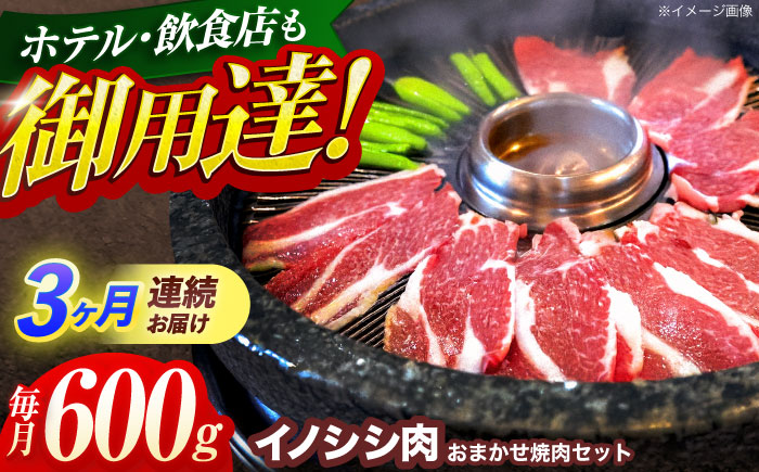 【3回定期便】ジビエ 天然イノシシ肉 おまかせ焼肉セット 600g （ロース・モモ・バラ）【照本食肉加工所】 [OAJ028]