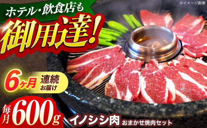 【6回定期便】ジビエ 天然イノシシ肉 おまかせ焼肉セット 600g （ロース・モモ・バラ）【照本食肉加工所】 [OAJ029]