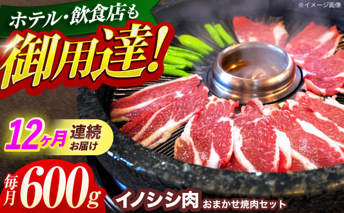 【12回定期便】ジビエ 天然イノシシ肉 おまかせ焼肉セット 600g （ロース・モモ・バラ）【照本食肉加工所】 [OAJ030]