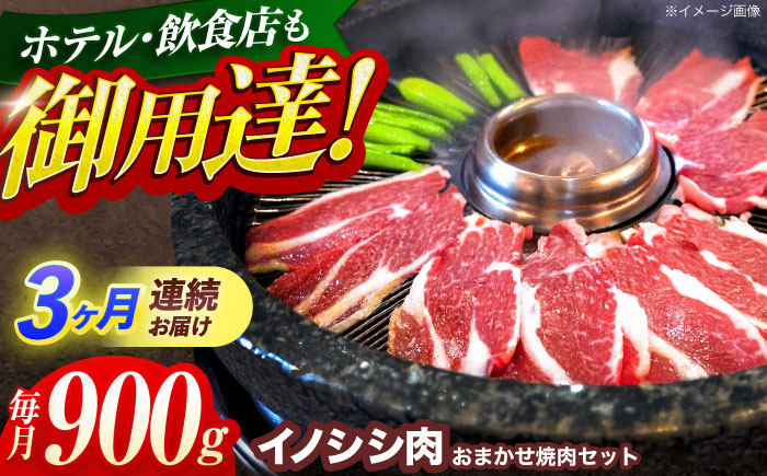 【3回定期便】ジビエ 天然イノシシ肉 おまかせ焼肉セット 900g （ロース・モモ・バラ）【照本食肉加工所】 [OAJ031]