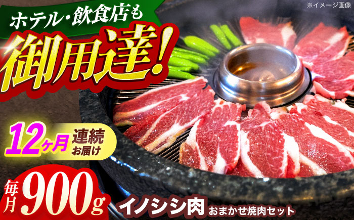 【12回定期便】ジビエ 天然イノシシ肉 おまかせ焼肉セット 900g （ロース・モモ・バラ）【照本食肉加工所】 [OAJ033]