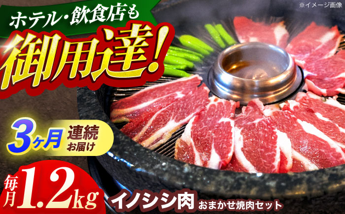 【3回定期便】ジビエ 天然イノシシ肉 おまかせ焼肉セット 1.2kg （ロース・モモ・バラ）【照本食肉加工所】 [OAJ034]