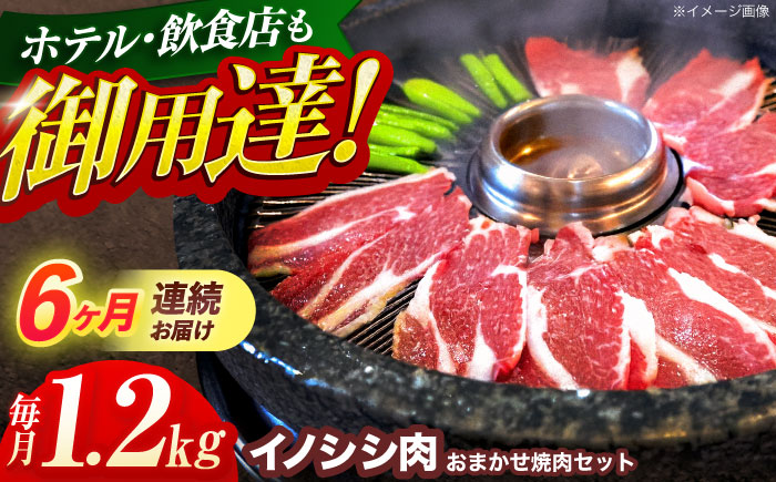【6回定期便】ジビエ 天然イノシシ肉 おまかせ焼肉セット 1.2kg （ロース・モモ・バラ）【照本食肉加工所】 [OAJ035]