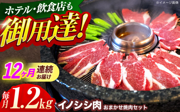【12回定期便】ジビエ 天然イノシシ肉 おまかせ焼肉セット 1.2kg （ロース・モモ・バラ）【照本食肉加工所】 [OAJ036]