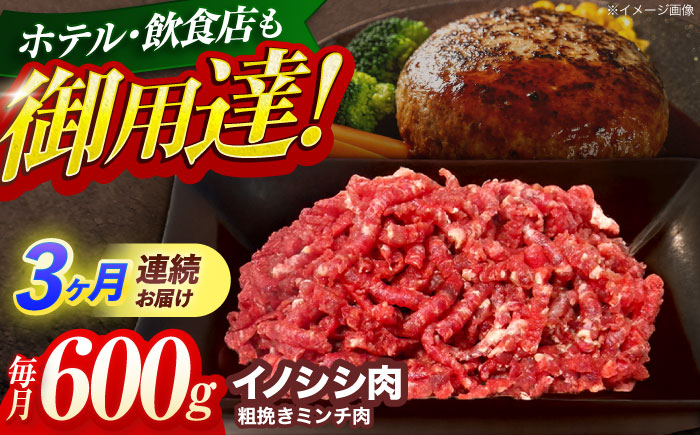 【3回定期便】ジビエ 天然イノシシ肉 粗挽きミンチ肉 600g【照本食肉加工所】 [OAJ040]