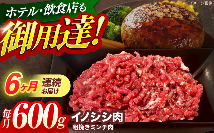 【6回定期便】ジビエ 天然イノシシ肉 粗挽きミンチ肉 600g【照本食肉加工所】 [OAJ047]
