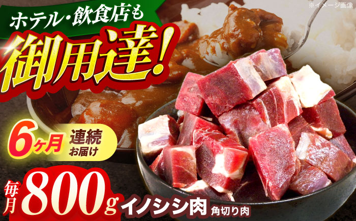 【12回定期便】ジビエ 天然イノシシ肉 角切り肉 800g（カレー・シチュー）【照本食肉加工所】 [OAJ063]