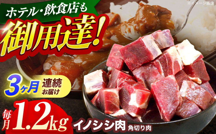 【3回定期便】ジビエ 天然イノシシ肉 角切り肉 1.2kg（カレー・シチュー）【照本食肉加工所】 [OAJ064]
