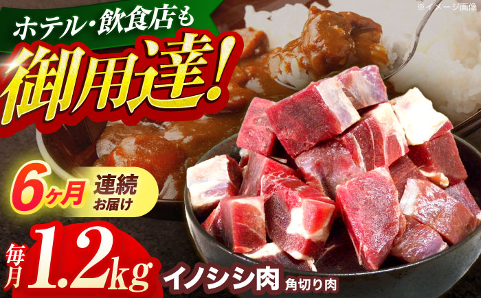 【6回定期便】ジビエ 天然イノシシ肉 角切り肉 1.2kg（カレー・シチュー）【照本食肉加工所】 [OAJ065]