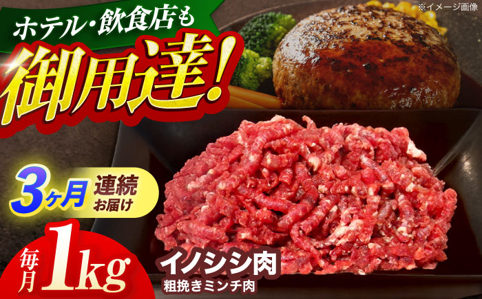 【3回定期便】ジビエ 天然イノシシ肉 粗挽きミンチ肉 1kg【照本食肉加工所】 [OAJ070]