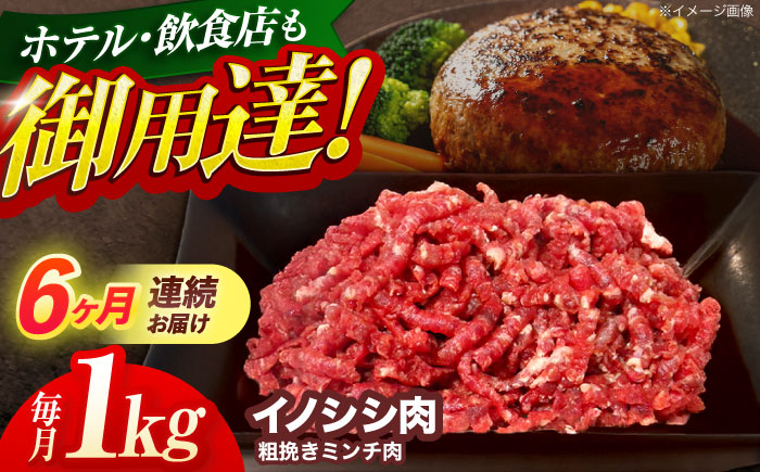 【6回定期便】ジビエ 天然イノシシ肉 粗挽きミンチ肉 1kg【照本食肉加工所】 [OAJ071]