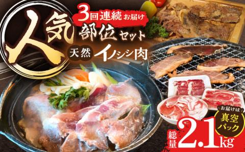 【3回定期便】ジビエ 天然 猪肉 人気部位 総量2.1kg【照本食肉加工所】[OAJ074] / 猪肉 いのしし  猪 猪鍋 ぼたん鍋 肉 切り落とし肉 スライス肉 ミンチ肉 いのしし肉