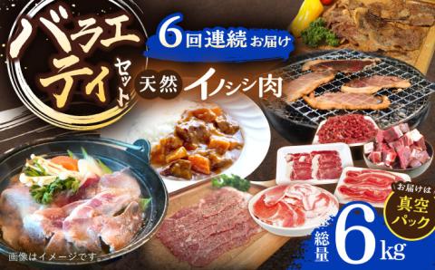 【6回定期便】ジビエ 天然 猪肉 バラエティ総量6.0kg【照本食肉加工所】[OAJ075] / 猪肉 いのしし  猪 猪鍋 ぼたん鍋 肉 切り落とし肉 スライス肉 ミンチ肉 いのしし肉