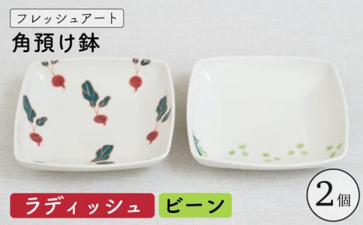 【波佐見焼】フレッシュアート 角預け 鉢 2柄セット〈ビーン・ラディッシュ〉 [OAQ049]