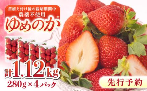 【2024年1?3月発送！】いちご 『ゆめのか』 280g×4パック 栽培期間中：農薬不使用 【道上農園】[OBE002]