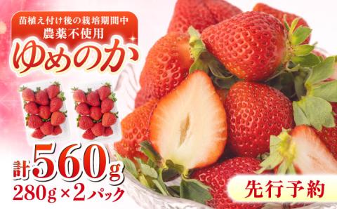 【2024年1?3月発送！】いちご 『ゆめのか』 280g×2パック 栽培期間中：農薬不使用 【道上農園】[OBE003]