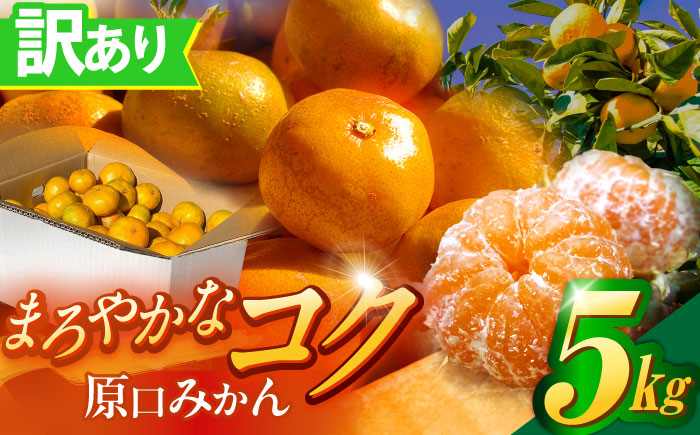 訳あり 原口みかん 5kg【おおたに農園】 [OBP002]