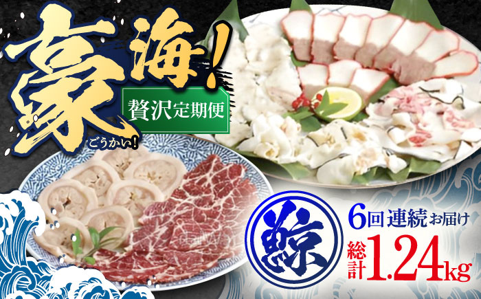 【6回定期便】くじら肉三昧 王道部位6種【中島(鯨)商店】 [OBR005]