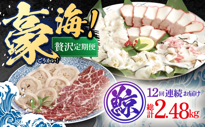 【12回定期便】くじらの王道部位 6種【中島(鯨)商店】 [OBR006]