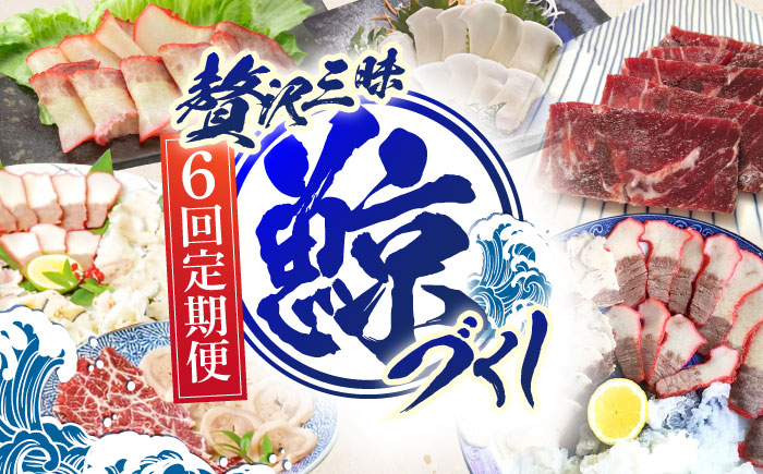 【6回定期便】贅沢三昧くじら食べ比べ定期便【中島(鯨)商店】[OBR014] / 鯨肉 くじら 魚介 海鮮