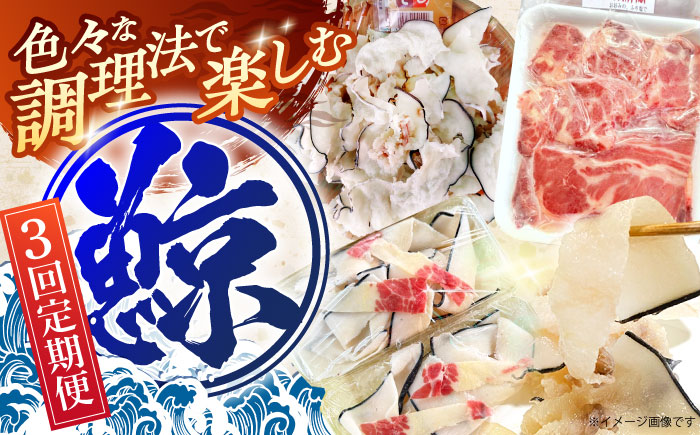 【3回定期便】調理用部位定期便（煮しめ鯨・炙り用脂筋肉スライス・特上ゆかけ鯨（畝）） [OBR018]