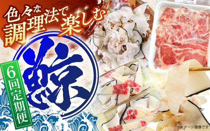 【6回定期便】調理用部位定期便（煮しめ鯨・炙り用脂筋肉スライス・特上ゆかけ鯨（畝）） [OBR019]