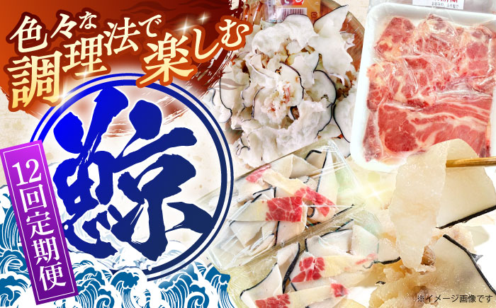 【12回定期便】調理用部位定期便（煮しめ鯨・炙り用脂筋肉スライス・特上ゆかけ鯨（畝）） [OBR020]