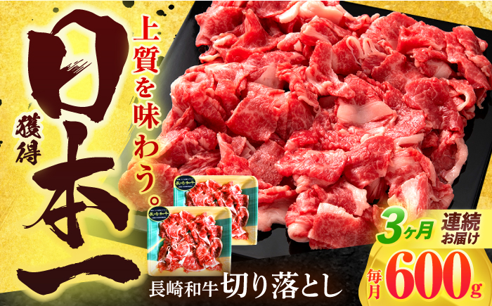 【3回定期便】長崎和牛 切り落とし 600g(300g×2)【有限会社長崎フードサービス】 [OCD018]