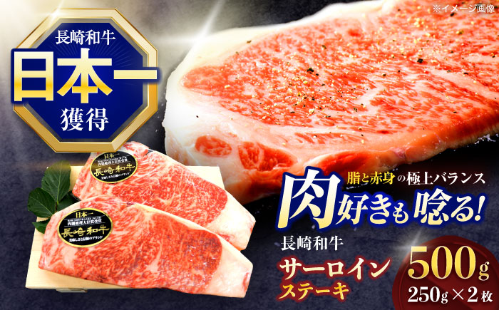 長崎和牛サーロインステーキ 約500g(250g×2枚)【株式会社 黒牛】 [OCE045] / 長崎県産和牛 牛肉 サーロインステーキ 国産牛 牛肉 サーロインステーキ 牛 肉 サーロインステーキ サーロイン ステーキ ぎゅうにく A4ランクサーロインステーキ 上質牛肉 高級
