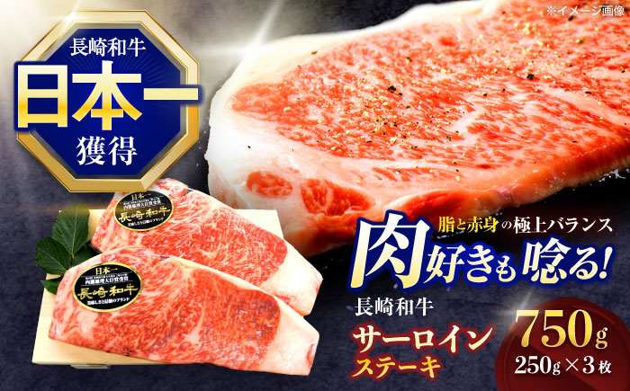 長崎和牛サーロインステーキ 約750g(250g×3枚)【株式会社 黒牛】 [OCE047] / 長崎県産和牛 牛肉 サーロインステーキ 国産牛 牛肉 サーロインステーキ 牛 肉 サーロインステーキ サーロイン ステーキ ぎゅうにく A4ランクサーロインステーキ 上質牛肉 高級
