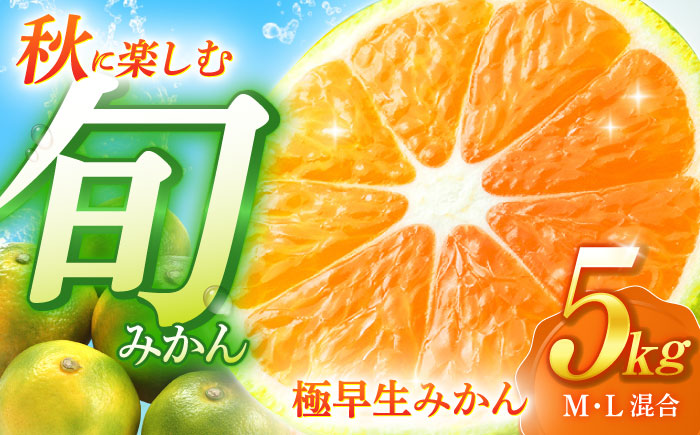 【先行予約・やわらかな酸味が特徴】極早生 みかん 5kg / 程よい酸味 薄皮 上野 夢一号 柑橘 かんきつ ミカン 蜜柑 みかん 極早生 長崎県産みかん 川棚産みかん【瀧口ファーム】 [OCW001]