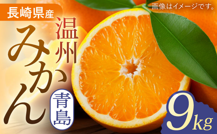 長崎県産 温州みかん（青島）9kg【Mt.Gファーム】[OCX003] / 柑橘 温州みかん 青島 ミカン 蜜柑 長崎県産柑橘