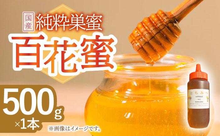 はちみつ 百花蜜 500g / 蜂蜜 国産 とんがり容器 入り 長崎県 川棚町産 【小佐々養蜂場】 [OCY001]