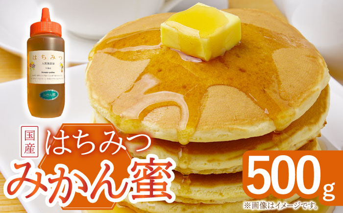 はちみつ みかん蜜 500g / 蜂蜜 国産 とんがり容器 入り 長崎県 川棚町産 【小佐々養蜂場】 [OCY003]