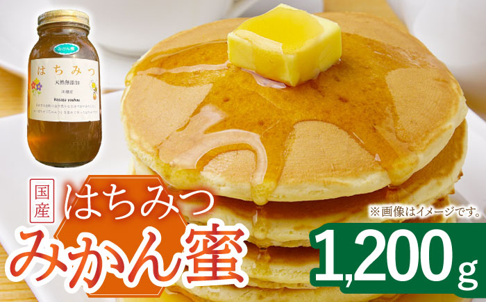 はちみつ みかん蜜 1.2kg/ 蜂蜜 国産 瓶 入り 長崎県 川棚町産 【小佐々養蜂場】 [OCY004]