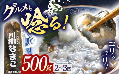 [先行受付][数量限定]川棚 なまこ 約500g※2024年12月中旬以降発送][森水産][OAI002] / 大村湾で採れる 高級 新鮮 ナマコ おつまみ 魚介