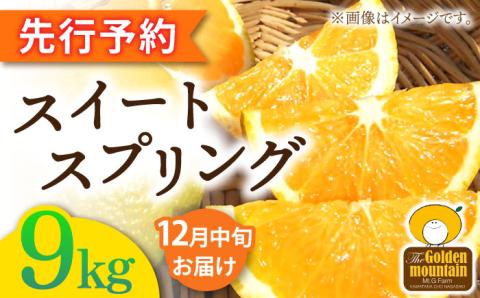 [先行予約]長崎県産スイートスプリング 9kg[Mt.Gファーム][OCX001] / 柑橘 みかん 八朔 はっさく 上田温州みかん スイートスプリング