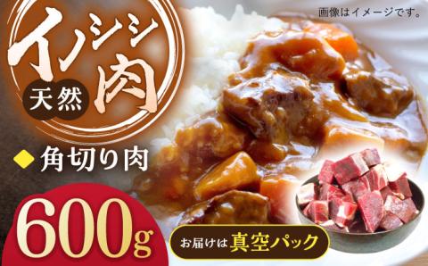 ジビエ 天然イノシシ肉 角切り肉 600g(カレー・シチュー)[照本食肉加工所] 