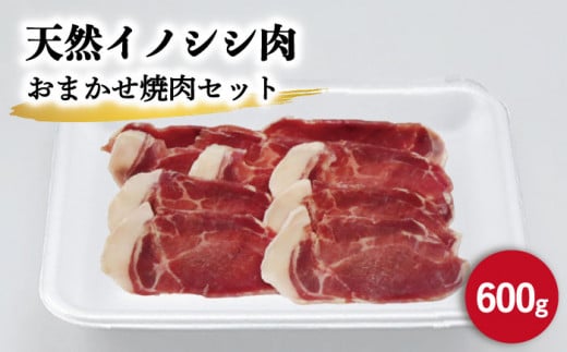 ジビエ 天然イノシシ肉 おまかせ焼肉セット 600g (ロース・モモ・バラ)[照本食肉加工所] 