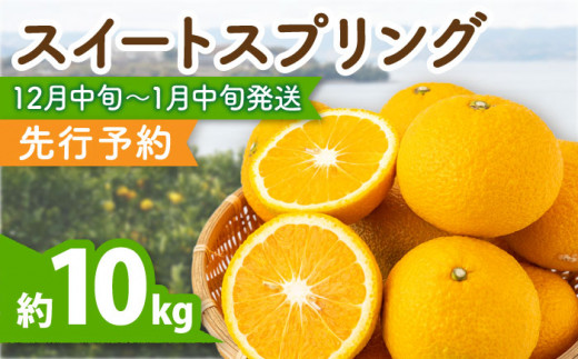 スイートスプリング 約10kg 長崎県産 / 爽やかな甘い香り 冬みかん 九州フルーツ 柑橘 みかん[田崎FARM] 