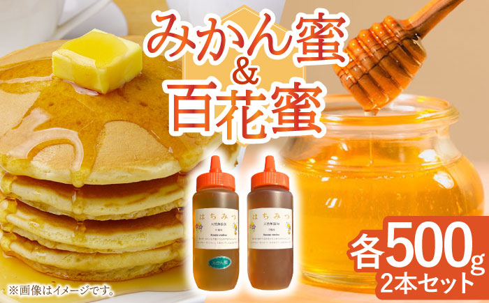 はちみつ 百花蜜500g & みかん蜜500g/ 蜂蜜 国産 とんがり容器 入り 長崎県 川棚町産 [小佐々養蜂場] 