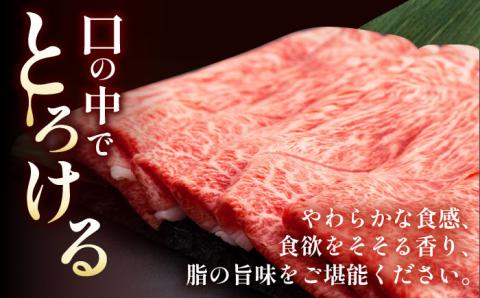 ウデ モモ スライス 500g A4 ～ A5ランク 【肉のふじた】 [AG01]  肉 牛肉 しゃぶしゃぶ すき焼き 長崎和牛